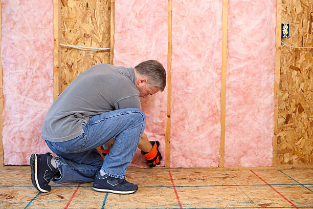 Best Insulation Maintenance and Repair in Spring, TX